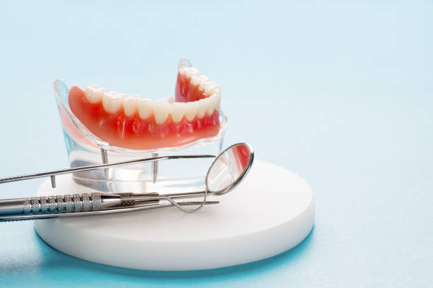 Reliable Suny Oswego, NY  Holistic Dental Services Solutions